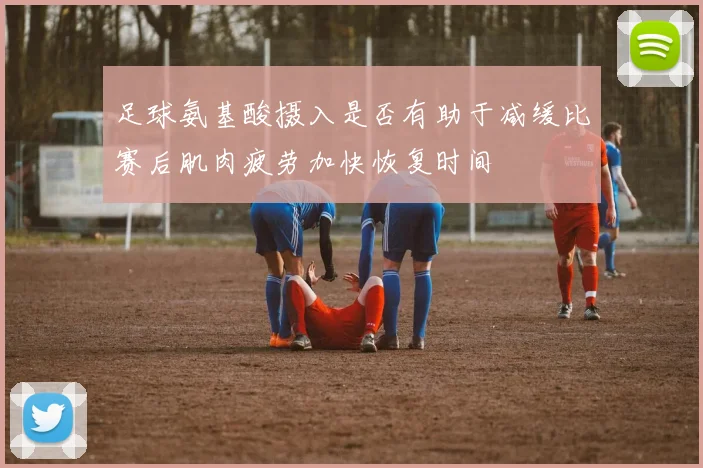 足球氨基酸摄入是否有助于减缓比赛后肌肉疲劳加快恢复时间